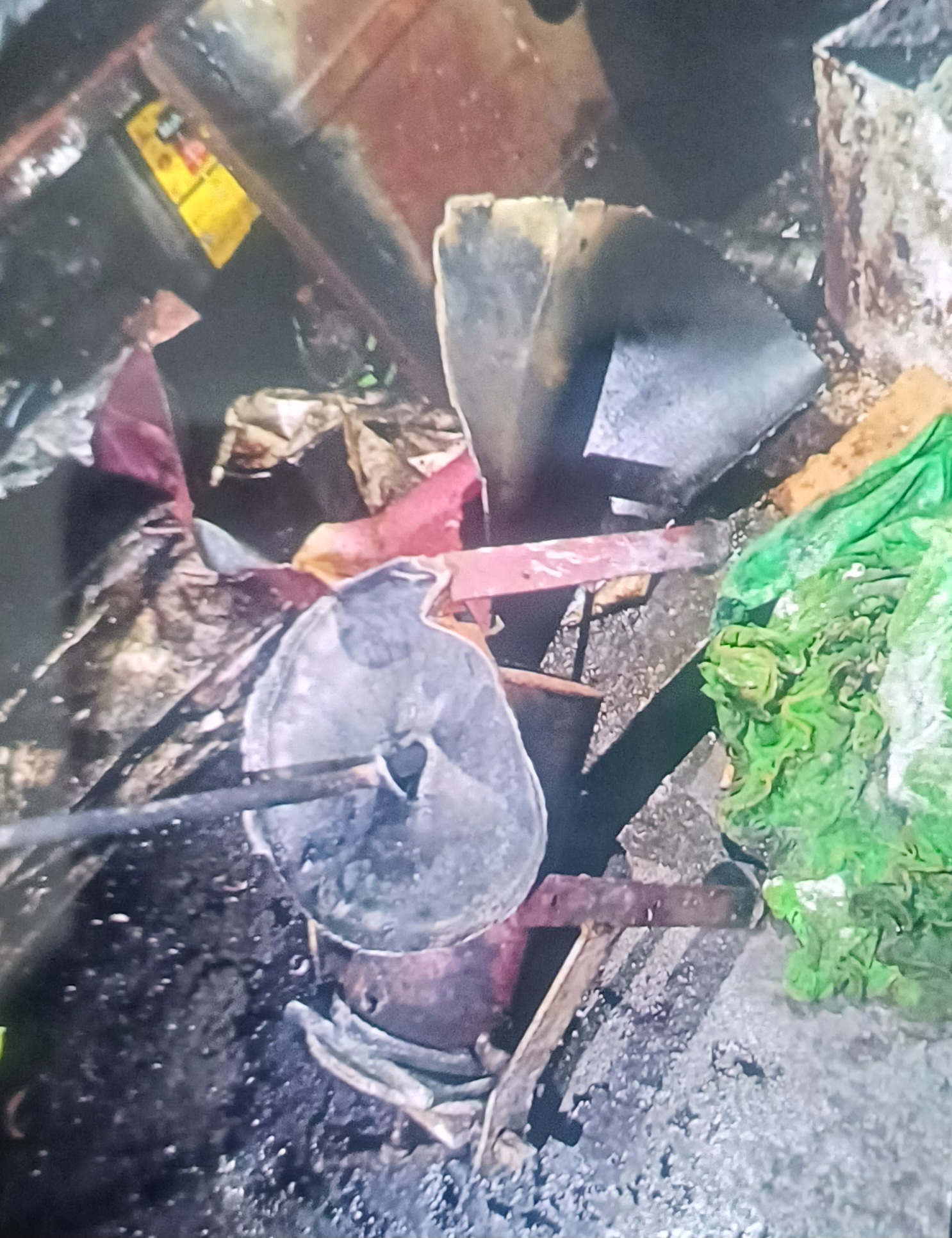 ଗ୍ୟାସ ସିଲିଣ୍ଡର ଫାଟିବା ଯୋଗୁଁ ୪ ଜଣ ଆହତ ହୋଇଛନ୍ତି।