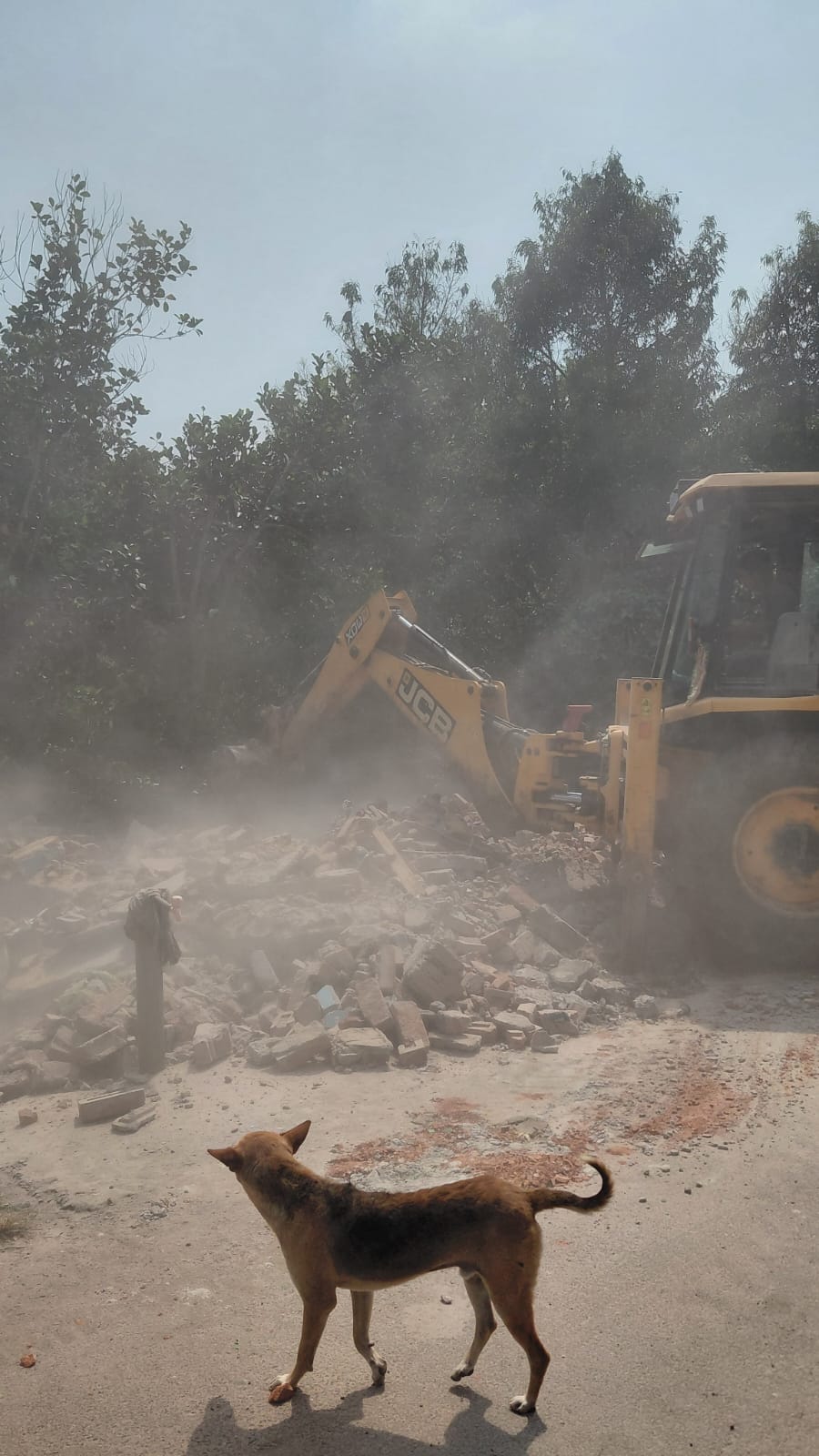 ବେଆଇନ ମଦ ବିକ୍ରୟ ଓ ଅବୈଧ କାର୍ଯ୍ୟକଳାପ ଉପରେ କଡା କାର୍ଯ୍ୟାନୁଷ୍ଠାନ